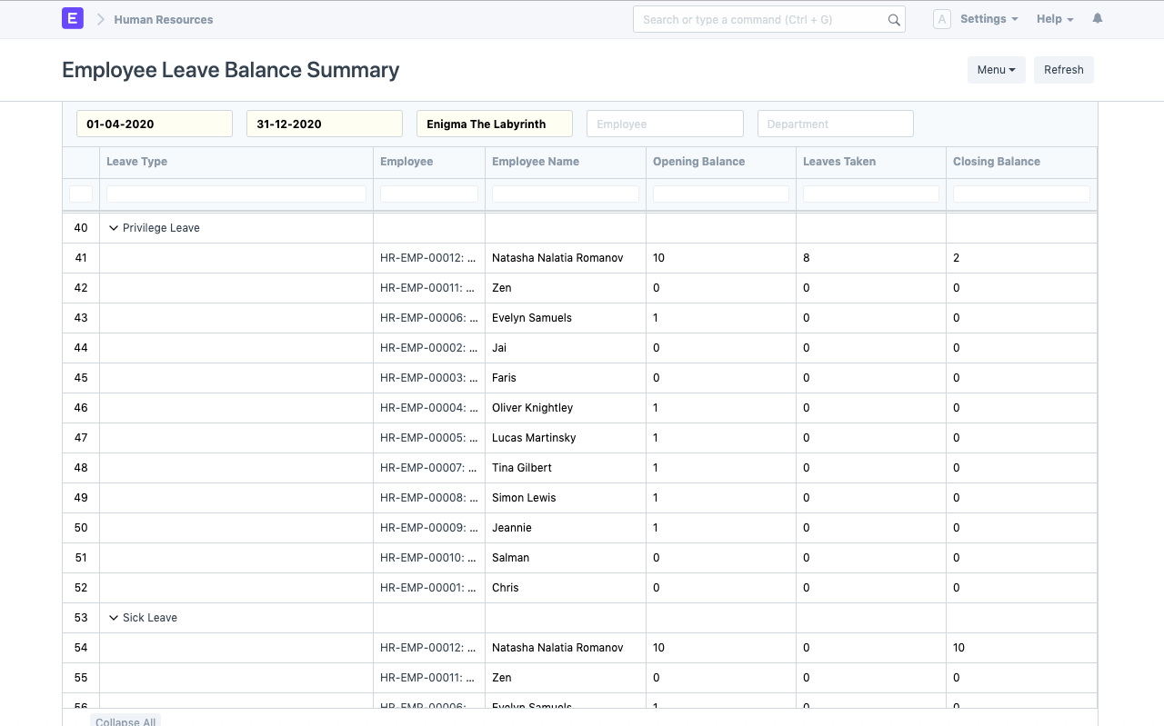 Employee Leave Balance Summary